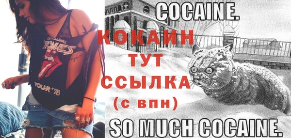 прущие крисы Магас