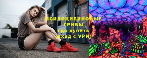 прущие крисы Магас